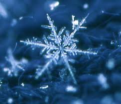 flocon de neige